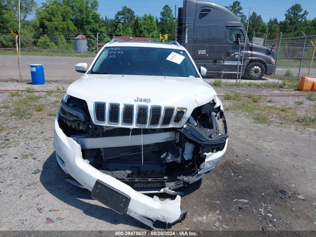 Jeep Cherokee Limited 4x4 2019 1C4PJMDX8KD417310 Image 6