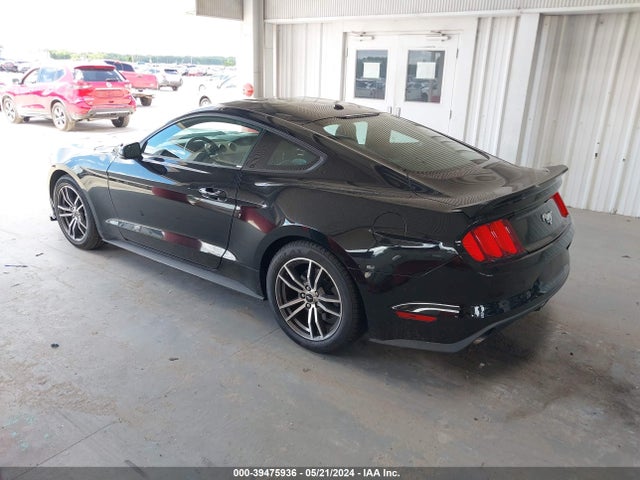 Ford Mustang Ecoboost 2017 1FA6P8TH8H5281846 Image 3