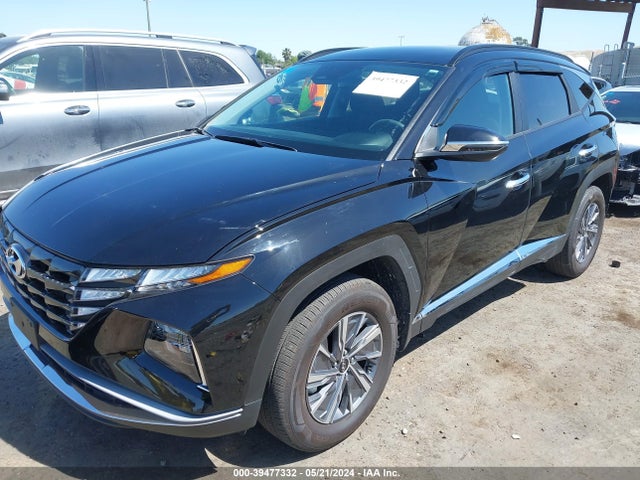 KM8JBCA12NU082347 Hyundai Tucson Hybrid Blue
