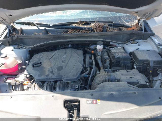 5XYK43AF6PG103204 KIA Sportage Sx
