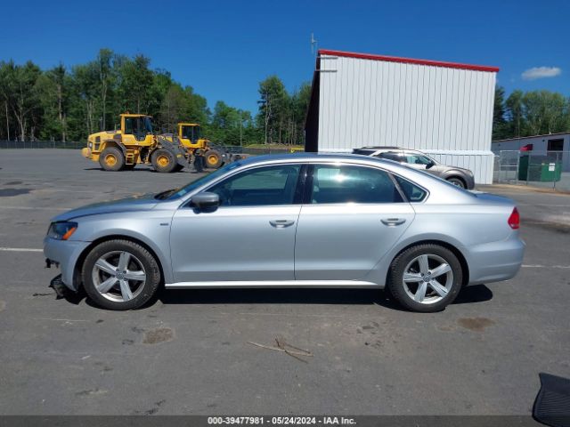1VWAT7A33FC100126 Volkswagen Passat 1.8t Limited Edition