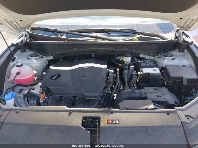 Hyundai Tucson Limited 2024 5NMJE3DE9RH346526 Image 10
