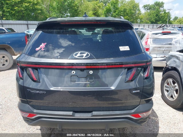 Hyundai TUCSON SEL 2023 5NMJBCAE8PH195642 Image 16
