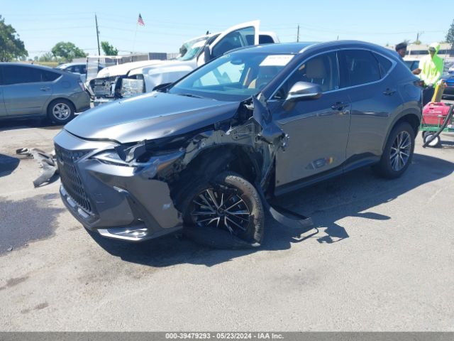 2T2GGCEZ1PC020143 Lexus Nx 350 Premium