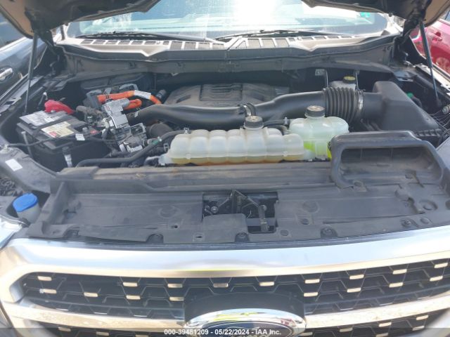 1FTFW1EDXMFA45329 Ford F-150 Platinum