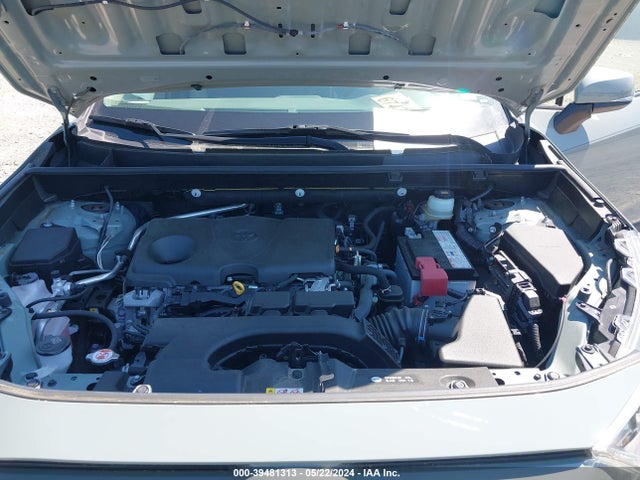 Toyota Rav4 Xle 2019 JTMP1RFV4KD516411 Image 10