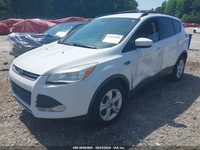 Ford ESCAPE SE 2014 1FMCU0GX5EUA34743 Image 2