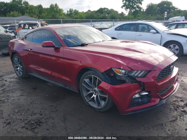 2015 1FA6P8TH4F5412509 main image