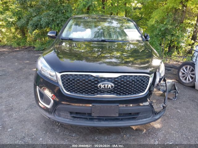 5XYPG4A38GG184456 KIA Sorento 2.4l L