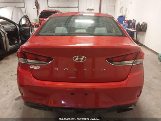 5NPE34AF6JH637020 Hyundai SONATA SEL