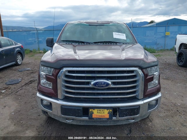 Ford F-150 Xlt 2015 1FTEW1EF7FFA03507 Image 13