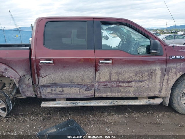 Ford F-150 Xlt 2015 1FTEW1EF7FFA03507 Image 14