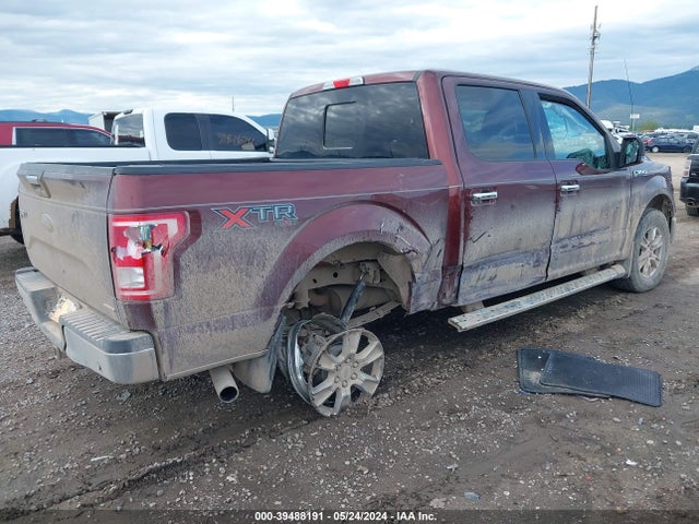 Ford F-150 Xlt 2015 1FTEW1EF7FFA03507 Image 4