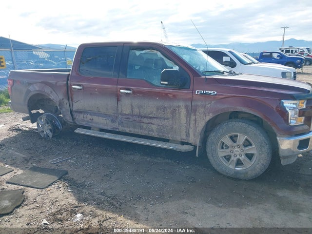 Ford F-150 Xlt 2015 1FTEW1EF7FFA03507 Image 6