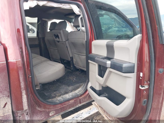 Ford F-150 Xlt 2015 1FTEW1EF7FFA03507 Image 8