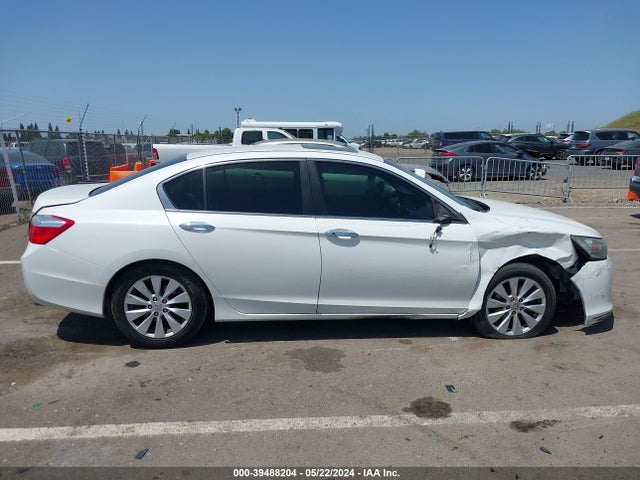 Honda ACCORD EX 2014 1HGCR2F79EA054368 Image 13