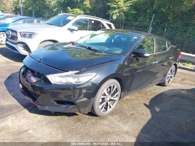 1N4AA6AP6GC389192 Nissan Maxima 3.5 Sl