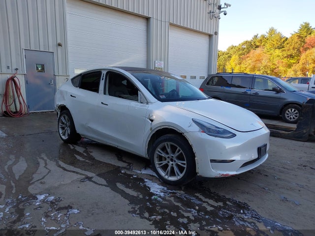 2020 TESLA MODEL Y 5YJYGDEE7LF016955 Photo 0