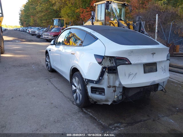 2020 TESLA MODEL Y 5YJYGDEE7LF016955 Photo 2