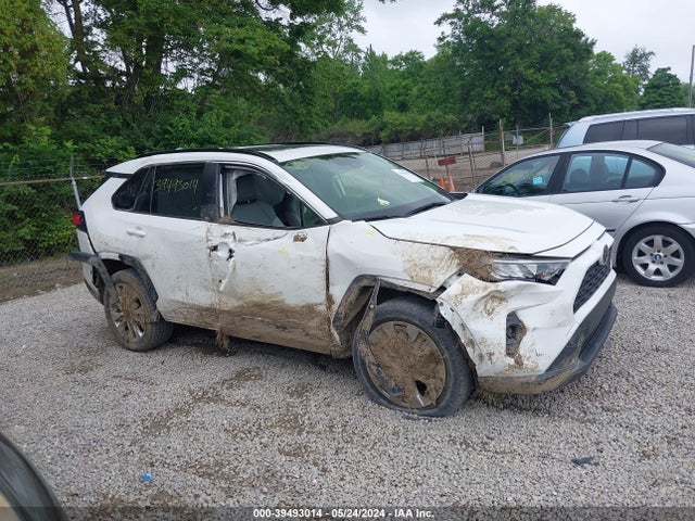Toyota Rav4 Xle Premium 2019 JTMA1RFV3KD524277 Image 13