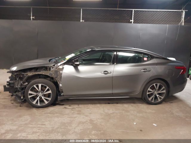 1N4AA6AP3GC397900 Nissan Maxima 3.5 Sl