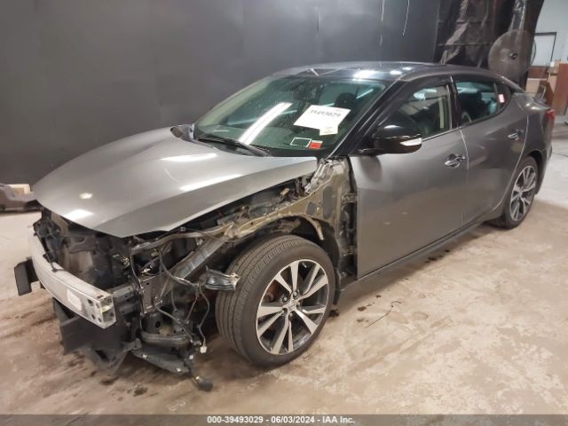 1N4AA6AP3GC397900 Nissan Maxima 3.5 Sl
