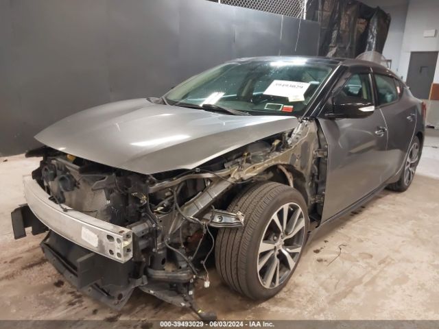 1N4AA6AP3GC397900 Nissan Maxima 3.5 Sl