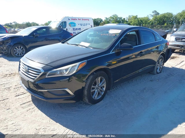 5NPE24AF2GH281337 Hyundai SONATA SE