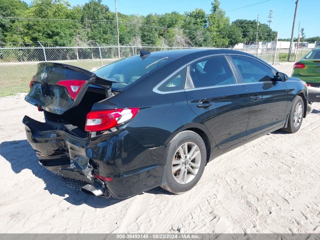 5NPE24AF2GH281337 Hyundai SONATA SE