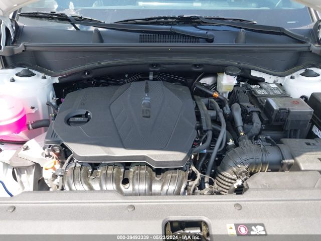 5XYK7CDF7RG203172 KIA Sportage X-pro Prestige