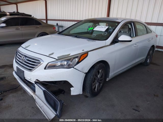 5NPE24AF3GH366137 Hyundai SONATA SE