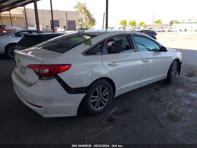 5NPE24AF3GH366137 Hyundai SONATA SE