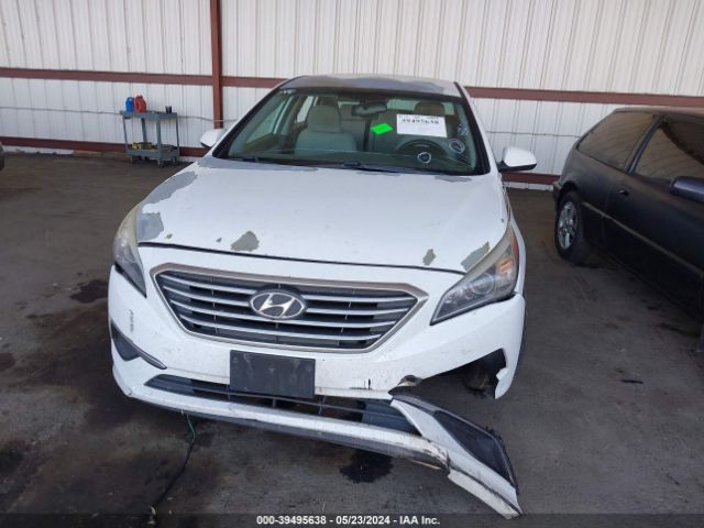 5NPE24AF3GH366137 Hyundai SONATA SE