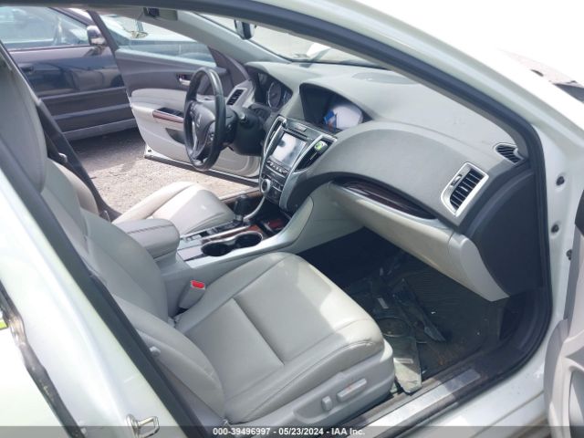 19UUB1F35FA009235 Acura TLX