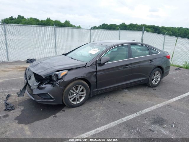 5NPE24AF3GH303085 Hyundai SONATA SE