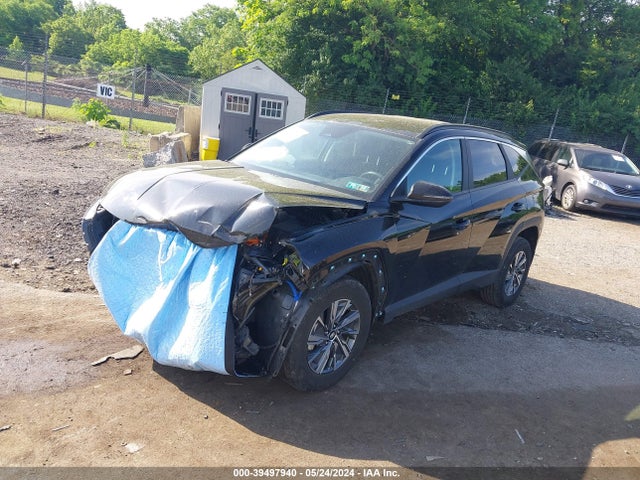 KM8JBCA10NU025161 Hyundai Tucson Hybrid Blue