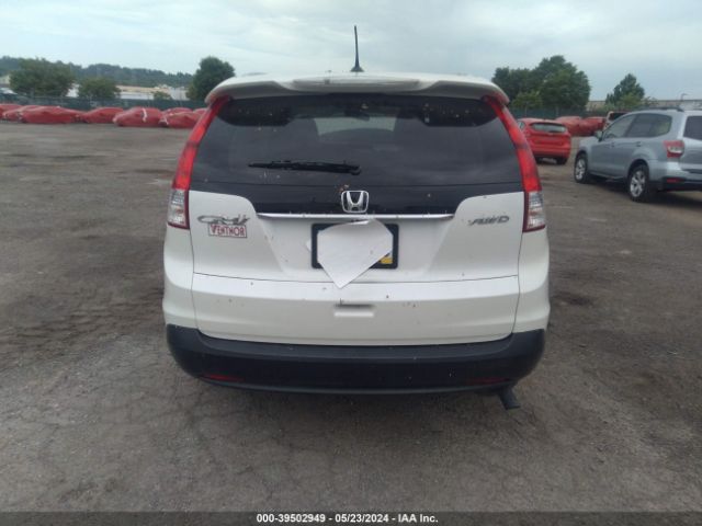 5J6RM4H74EL062117 Honda Cr-v Ex-l