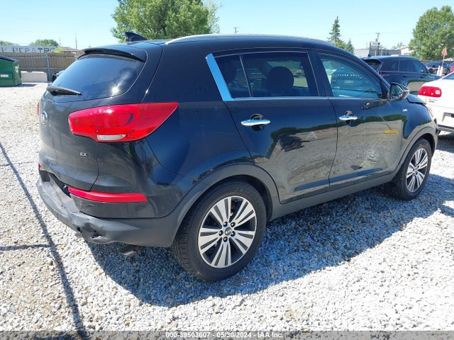 KIA Sportage Ex 2014 KNDPCCAC4E7633308 Image 4