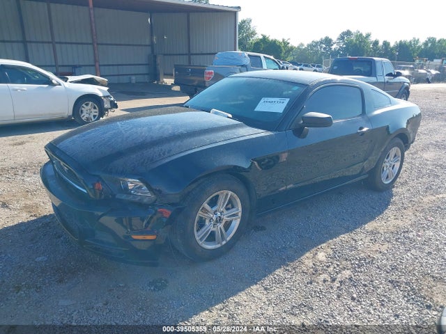 Ford Mustang V6 2014 1ZVBP8AM8E5240764 Image 2
