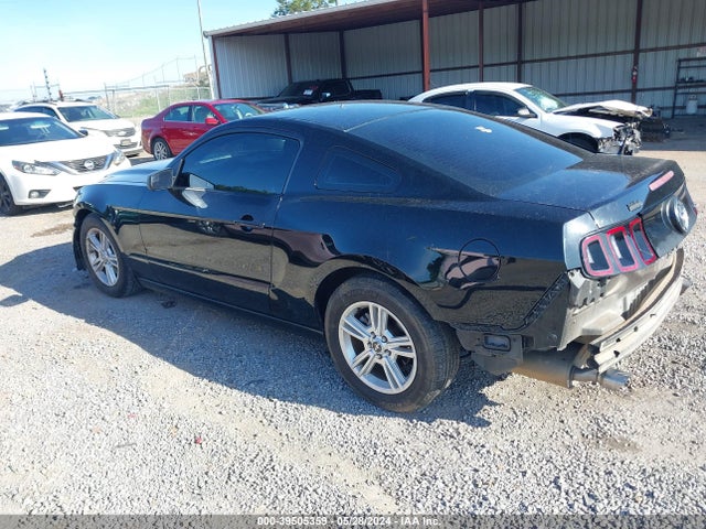 Ford Mustang V6 2014 1ZVBP8AM8E5240764 Image 3
