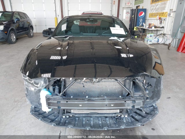 Ford Mustang Ecoboost Fastback 2024 1FA6P8TH4R5107323 Image 13
