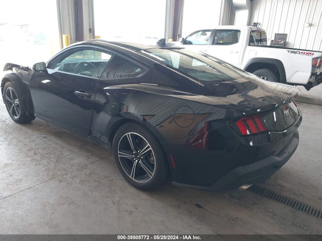Ford Mustang Ecoboost Fastback 2024 1FA6P8TH4R5107323 Image 3