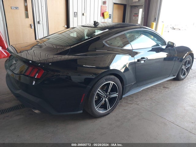 Ford Mustang Ecoboost Fastback 2024 1FA6P8TH4R5107323 Image 4