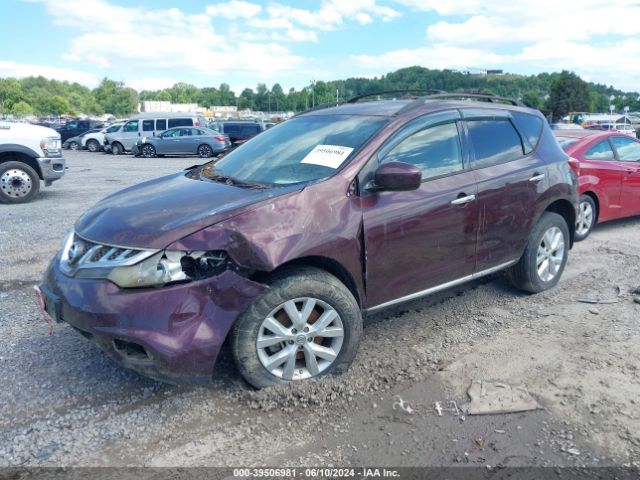 JN8AZ1MU9EW411578 Nissan MURANO SV
