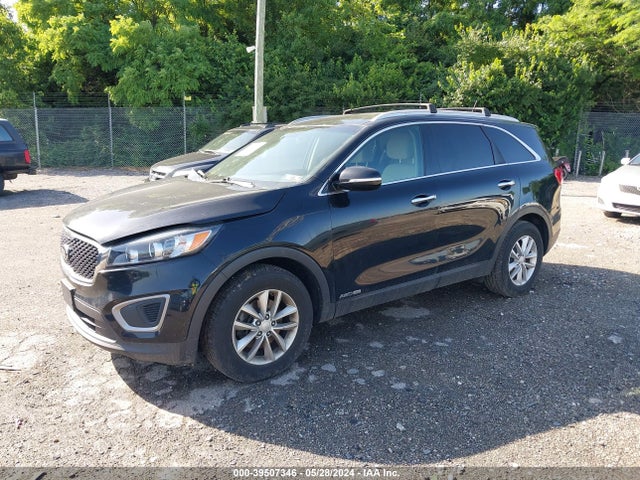 KIA Sorento 3.3l Lx 2016 5XYPGDA57GG103237 Image 2