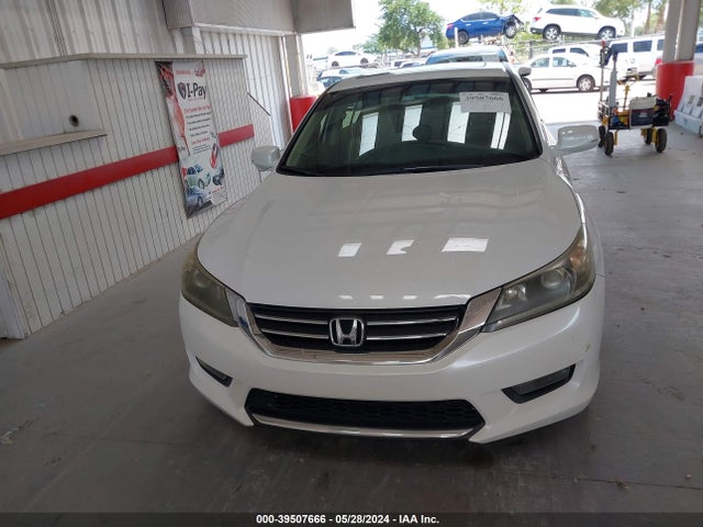 Honda ACCORD EX 2014 1HGCR2F71EA199842 Image 13