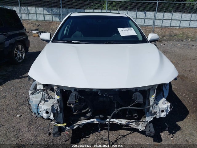 Toyota CAMRY SE 2019 4T1B11HK2KU792953 Image 13