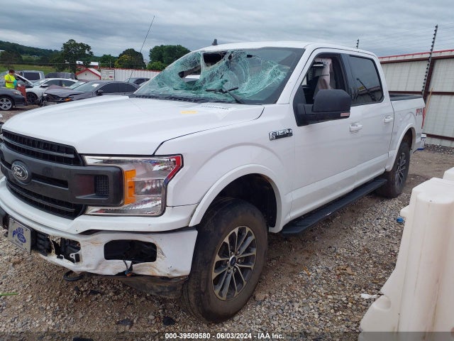 Ford F-150 Xlt 2019 1FTEW1E53KKE44656 Image 2