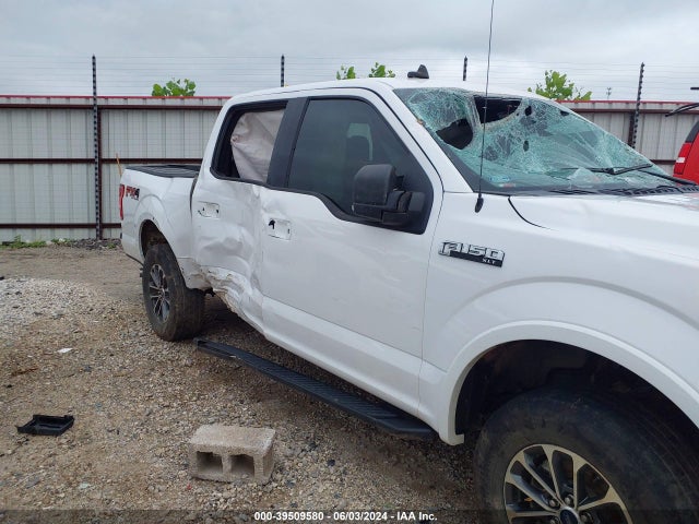 Ford F-150 Xlt 2019 1FTEW1E53KKE44656 Image 6