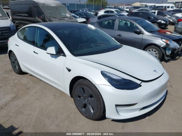 Продаж на аукціоні авто 2023 Tesla Model 3 Rear-wheel Drive, vin: 5YJ3E1EA4PF503693, номер лоту: 39509677